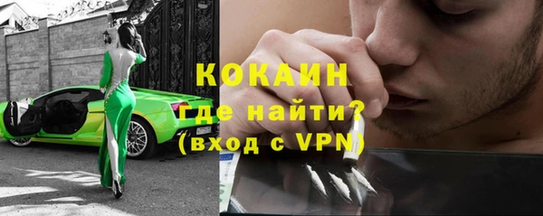 ГАЛЛЮЦИНОГЕННЫЕ ГРИБЫ Семёнов