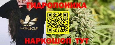 каннабис Бийск