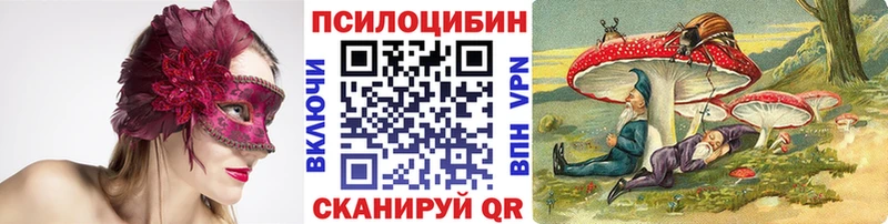 купить наркотики сайты  Воркута  Галлюциногенные грибы мицелий 